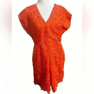 Banana Republic Size 8 Orange Lace Pleated Short Sleeve V-Neck Sheath Dress